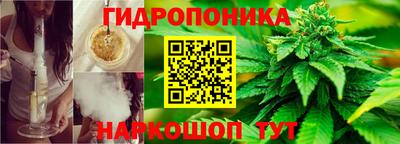 стаф Будённовск