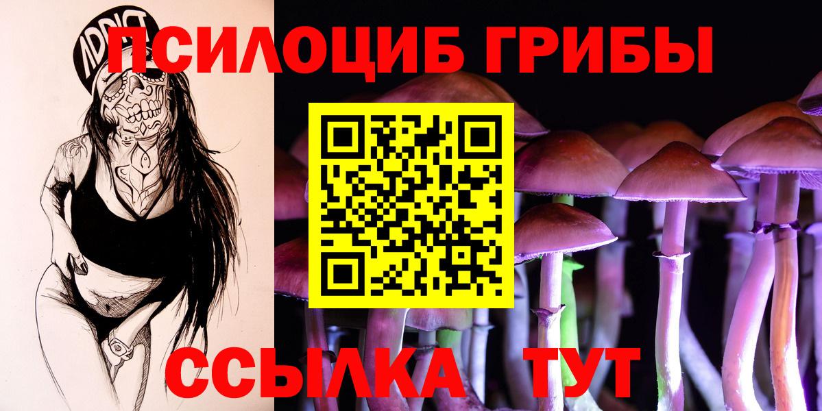 где купить наркотик  Галлюциногенные грибы Psilocybe  Вход с VPN  Красногорск 