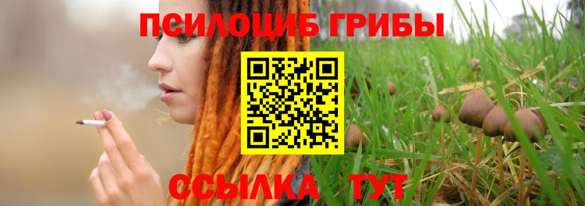 Галлюциногенные грибы MAGIC MUSHROOMS Красногорск